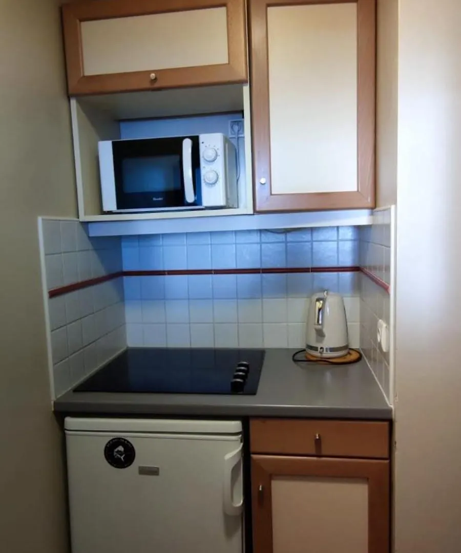 Joli Appartement Le Chamois Blanc Chamonix, Parking 0*, Chamonix France